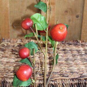 3 Apple Branch Stems